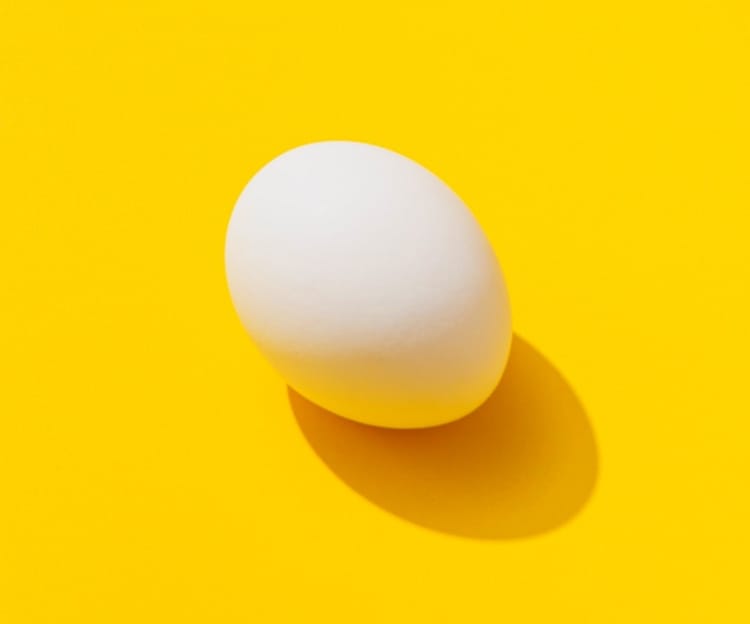 an egg on a bright yellow backdrop